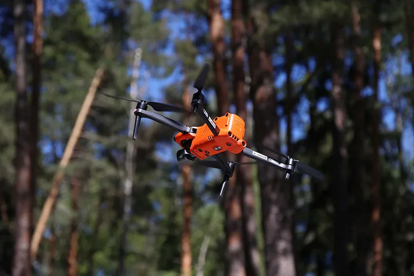Между небом и&nbsp;листвой: как&nbsp;дроны помогают охранять леса