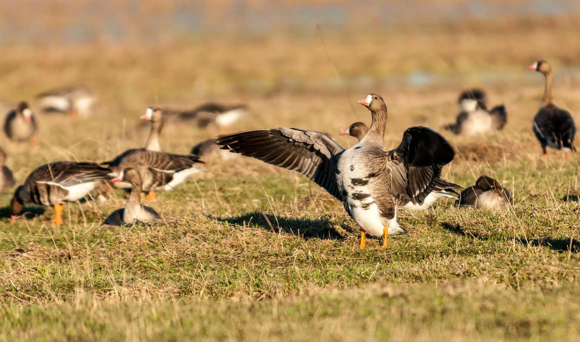 Департамент информационной политики, анализа и развития коммуникационных ресурсов Костромской области