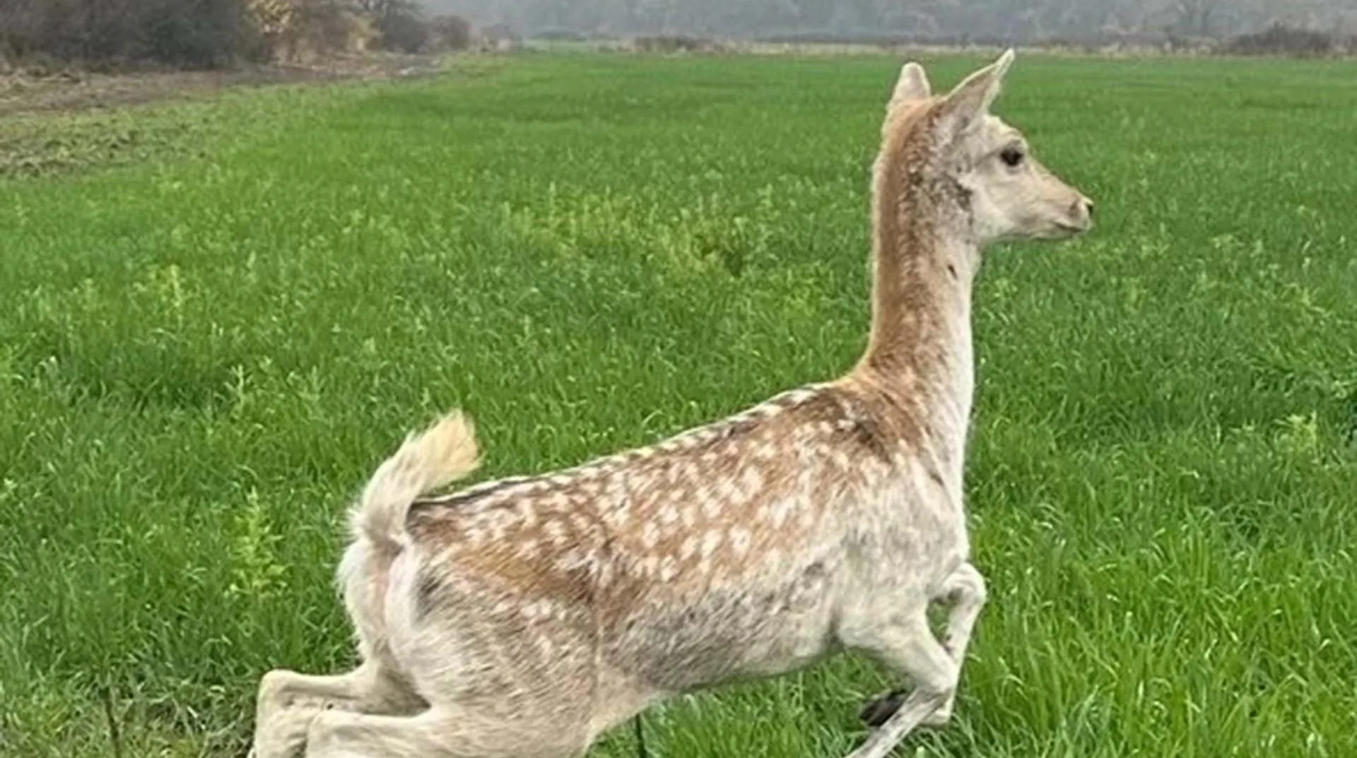 Министерство природных ресурсов Краснодарского края