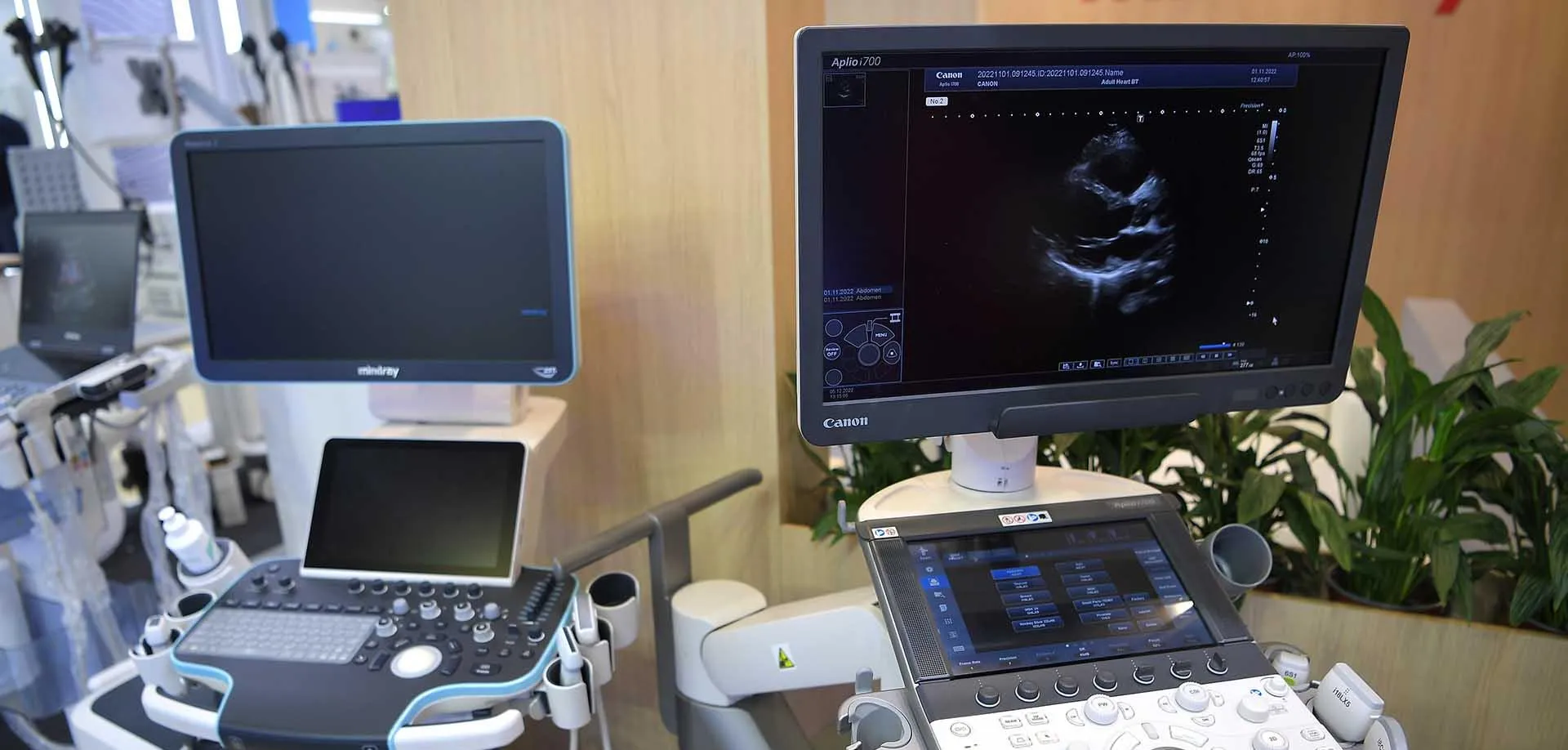 Светлана Шевченко/РИА Новости