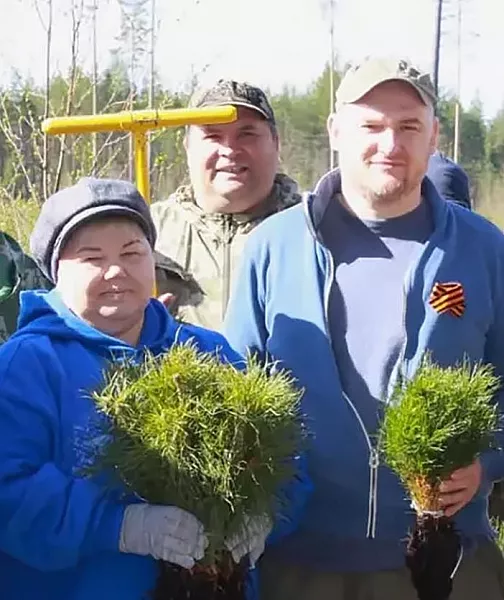 В&nbsp;Песском лесничестве Новгородской области высадили 10&nbsp;тысяч сеянцев сосны