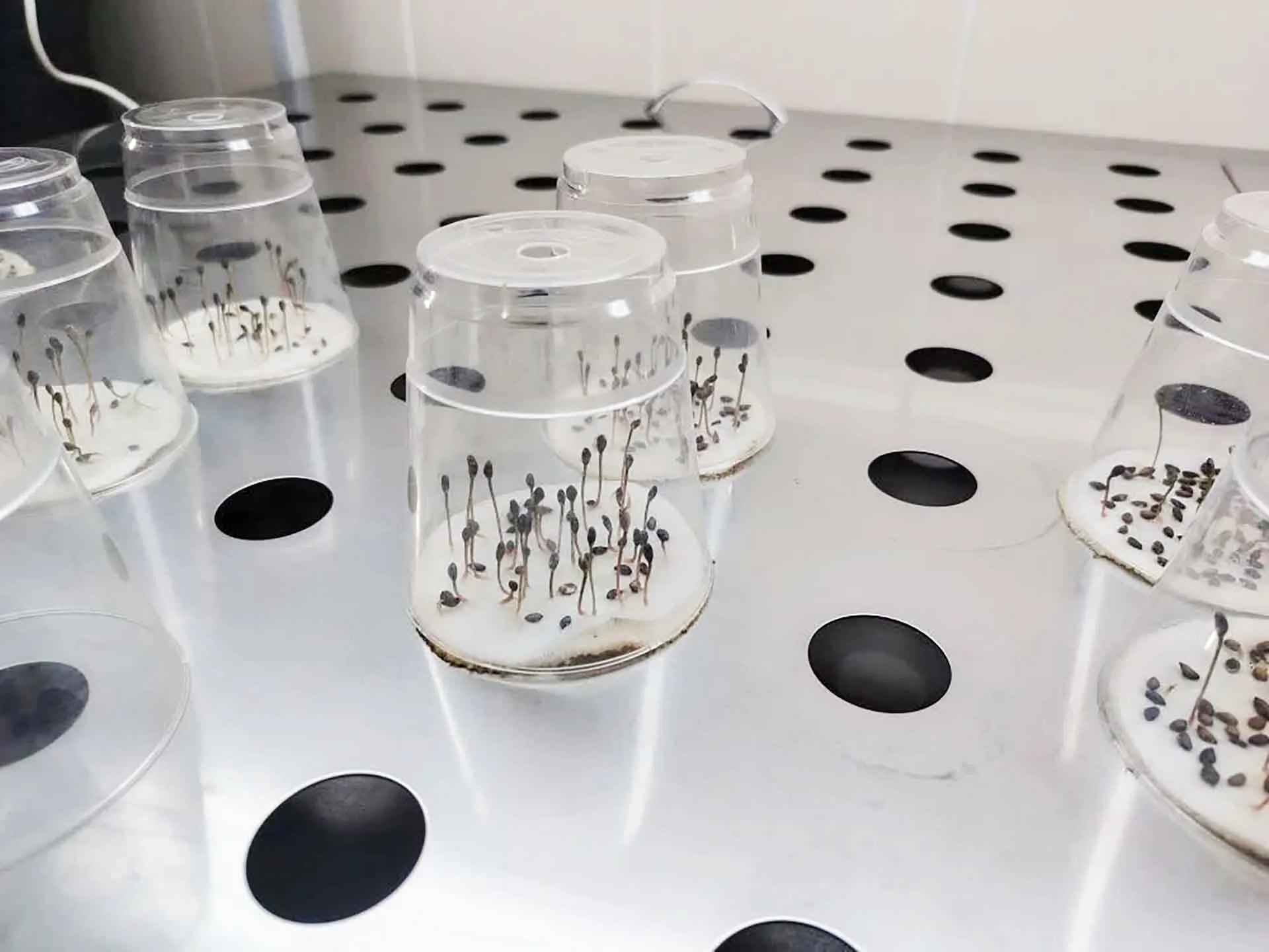 Администрация губернатора и правительства Новосибирской области