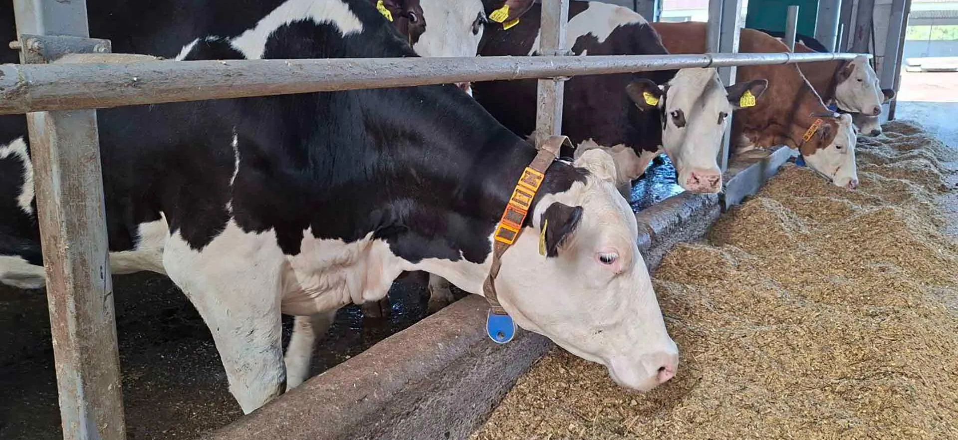 Министерство сельского хозяйства Красноярского края