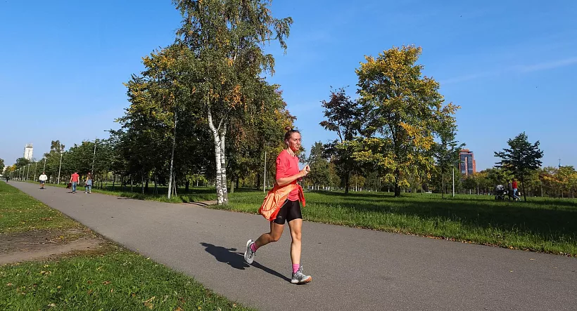 В&nbsp;Санкт-Петербурге переименуют Пулковский парк