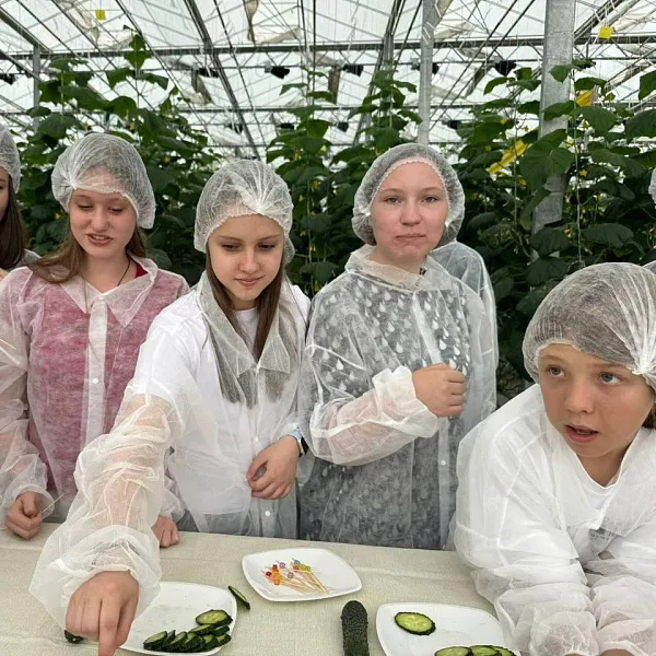 Агрокласс школы станицы Советской на&nbsp;Ставрополье посетил тепличный комплекс