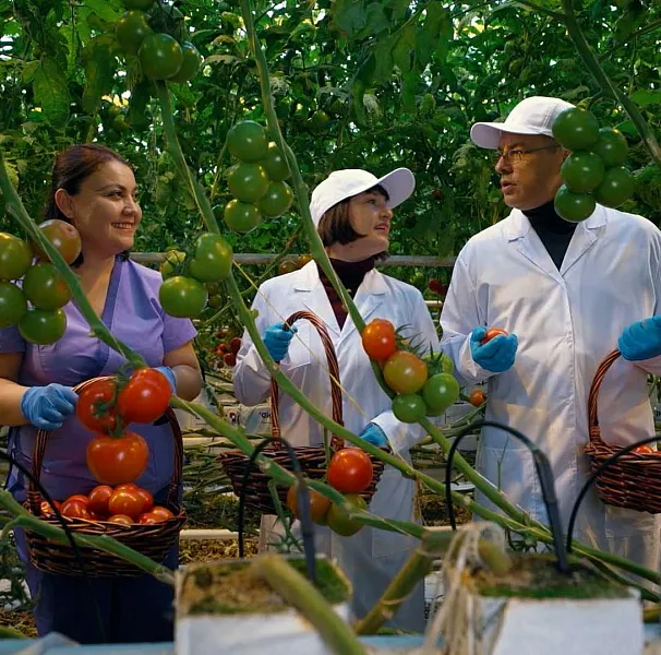 На&nbsp;телеканале &laquo;Россия 1&raquo; стартует новый сезон программы &laquo;Формула еды&raquo;