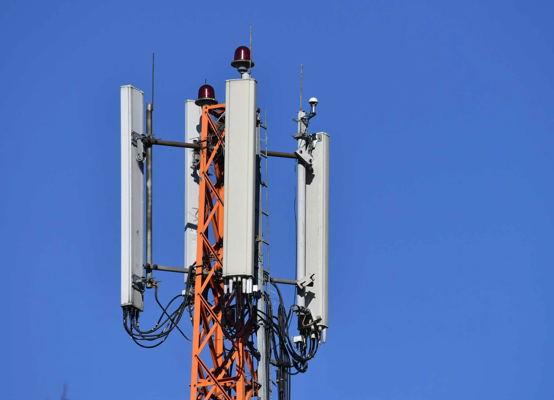 Михаил Воскресенский/РИА Новости