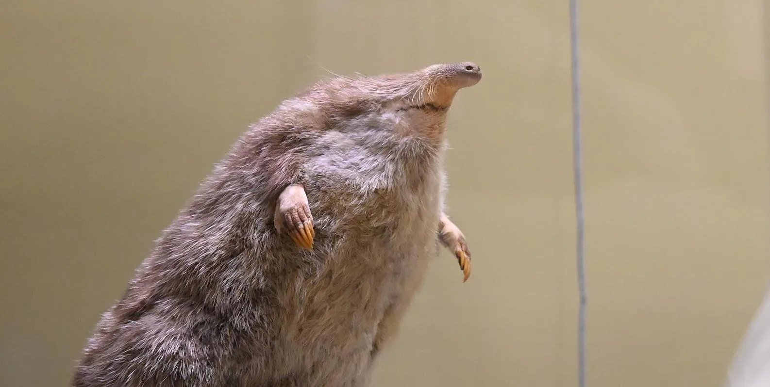 Пелагия Тихонова/РИА Новости