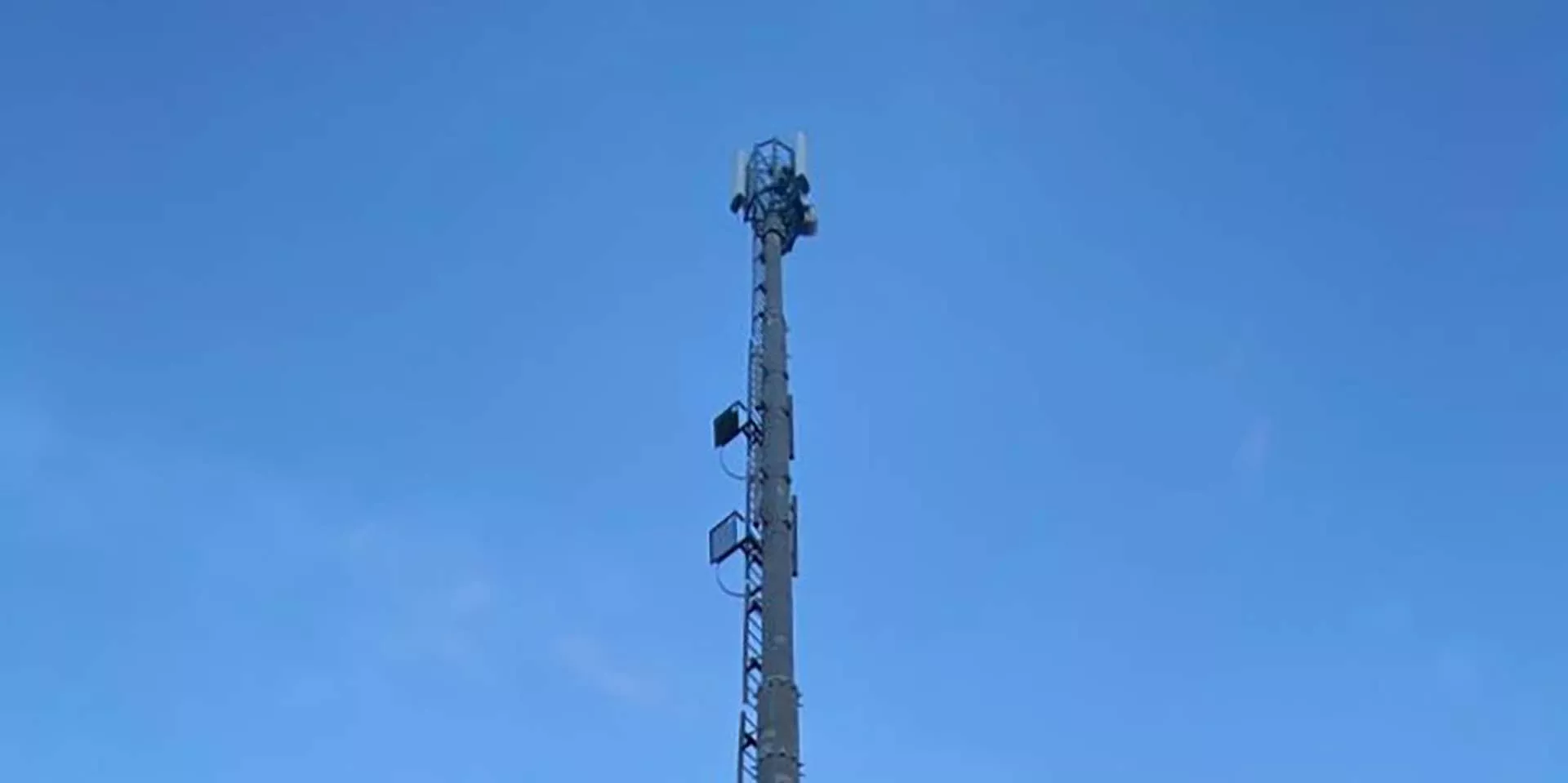 Министерство цифрового развития Красноярского края