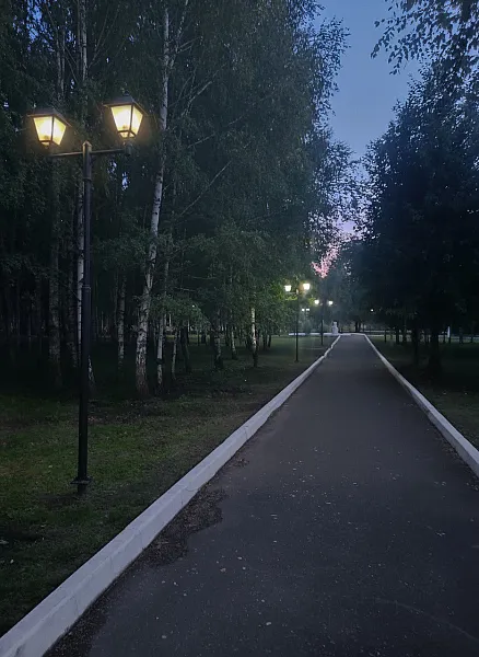 В&nbsp;парке мордовского села Большие Березники отремонтировали фонари