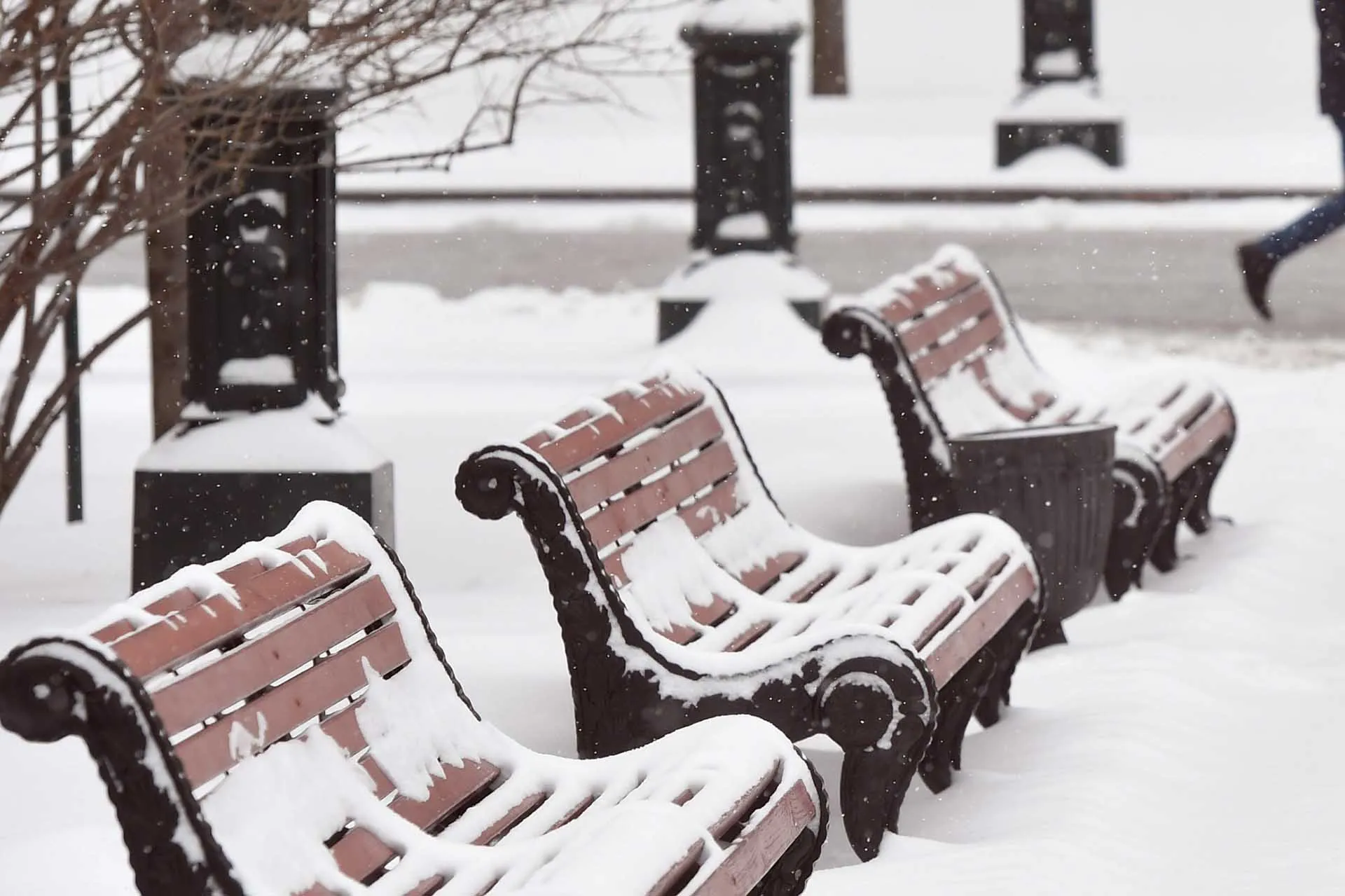 Михаил Воскресенский/РИА Новости