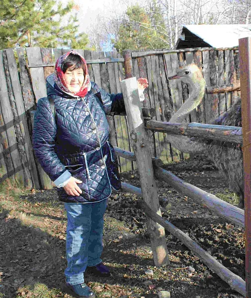 В&nbsp;Челябинской области пенсионеры посетили страусиную ферму