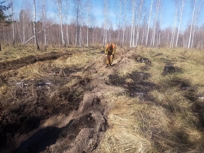 В&nbsp;Тюменской области начались лесопосадочные работы