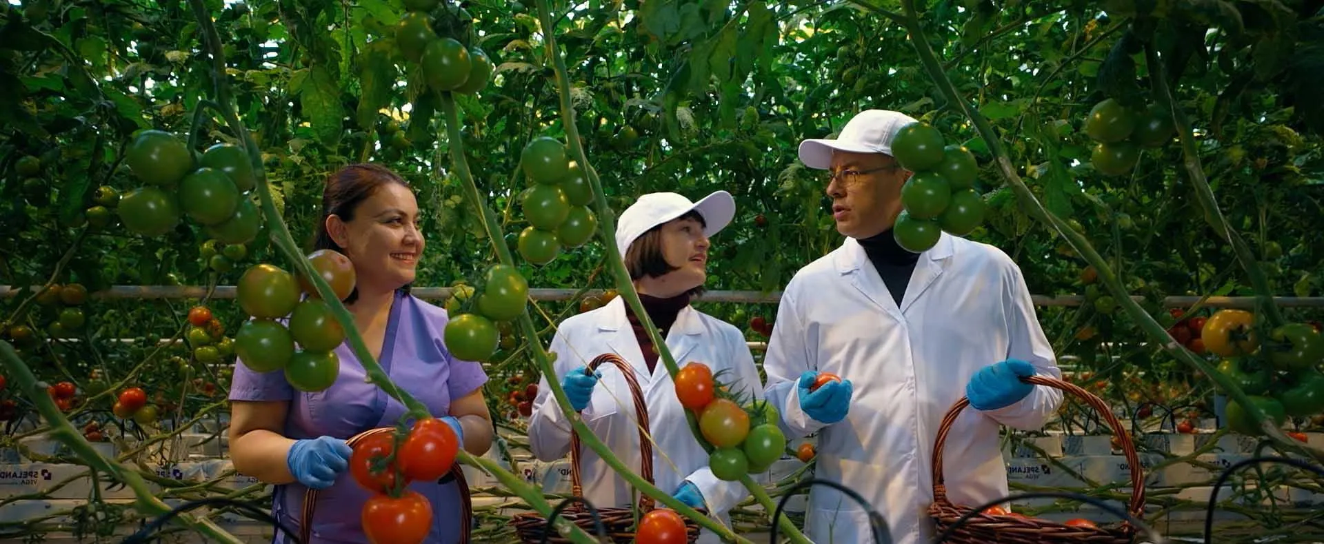 АНО «Национальные приоритеты»