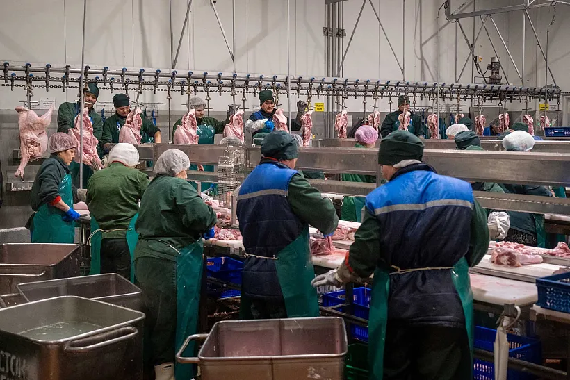Башкирия экспортировала в&nbsp;Конго еще&nbsp;одну партию продукции из&nbsp;индейки