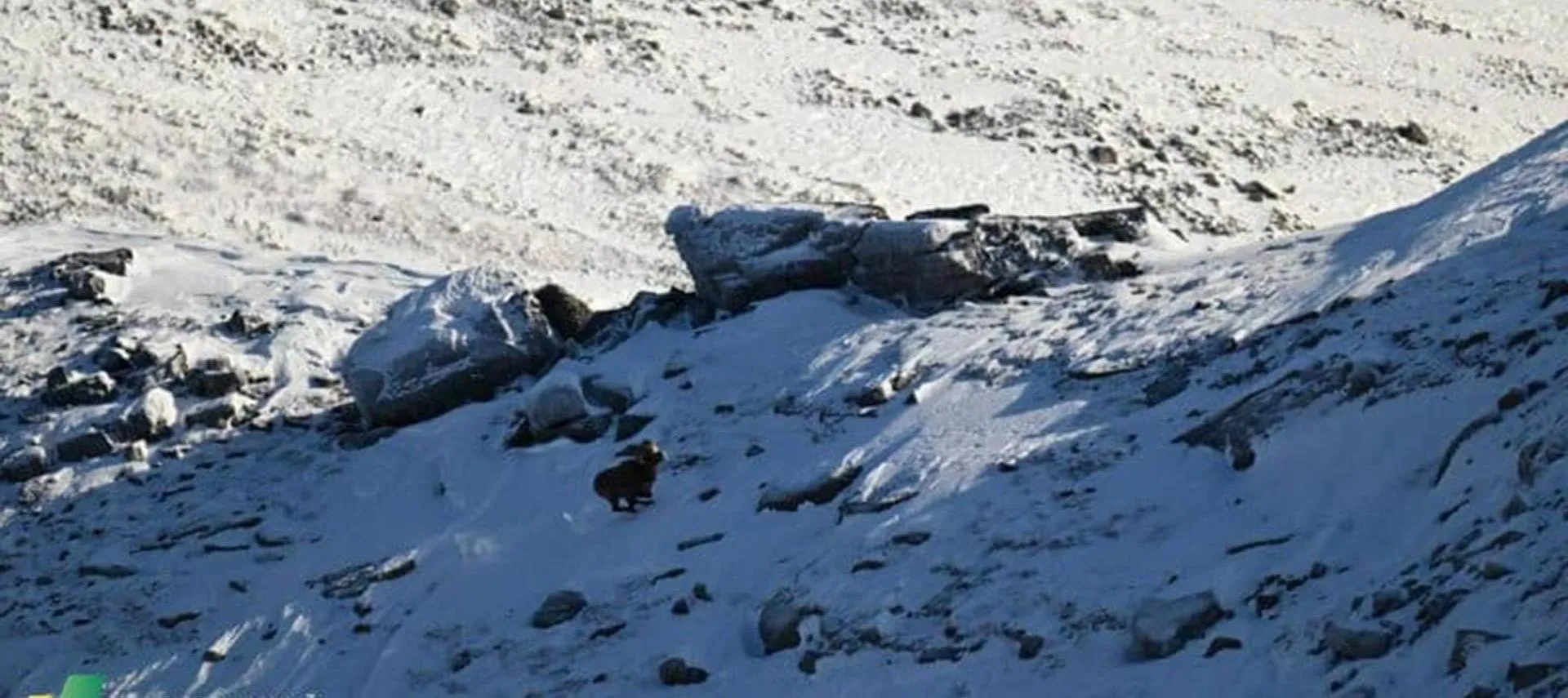  Администрация Главы и Правительства Республики Саха (Якутия)