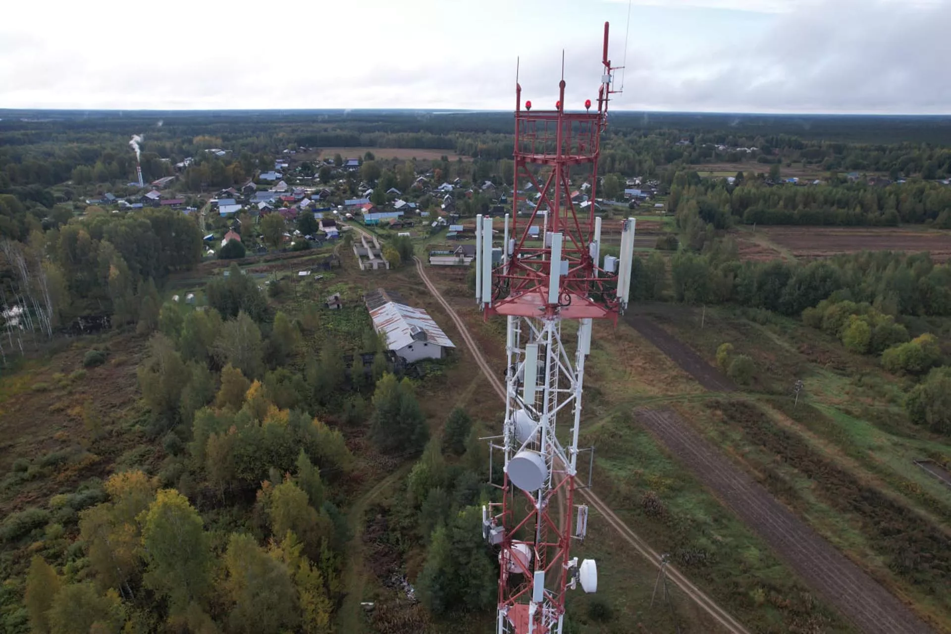 Департамент лесного комплекса Вологодской области