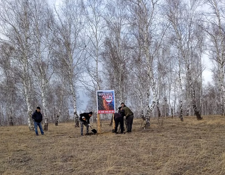 В&nbsp;Красноярском крае приступили к&nbsp;противопожарному обустройству лесов