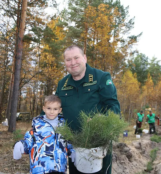 Осенью в&nbsp;Пензенской области высадили более 60&nbsp;тысяч деревьев