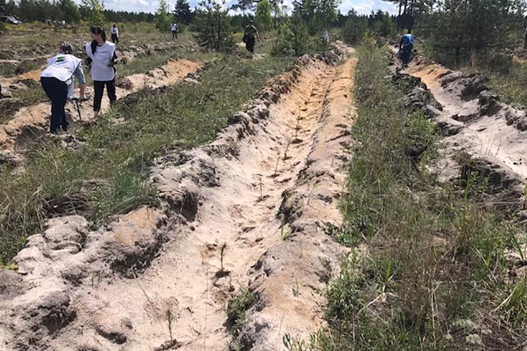 Пресс-служба правительства Нижегородской области