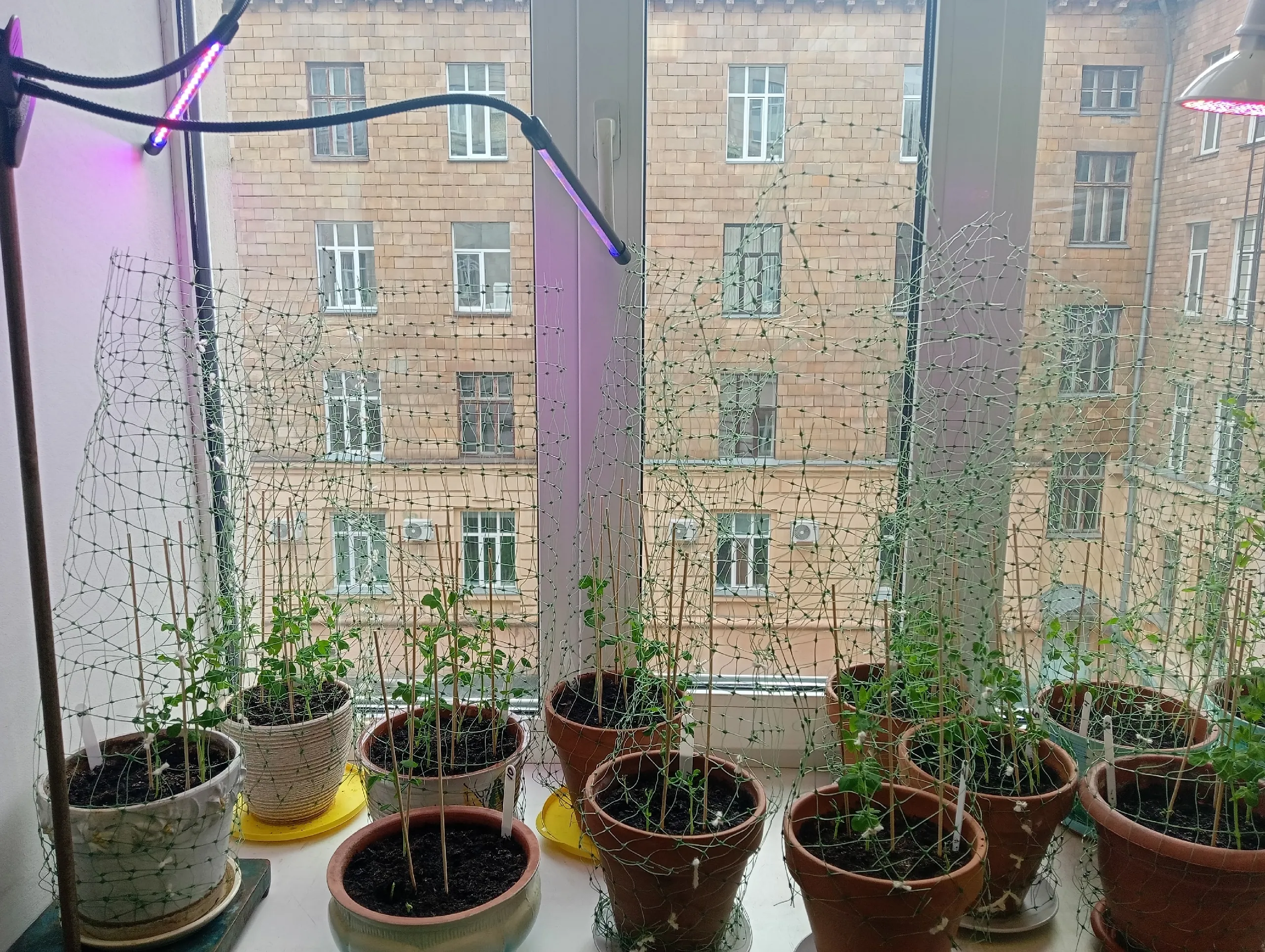 ФГАОУ ВО "Южно-Уральский государственный университет (национальный исследовательский университет)"