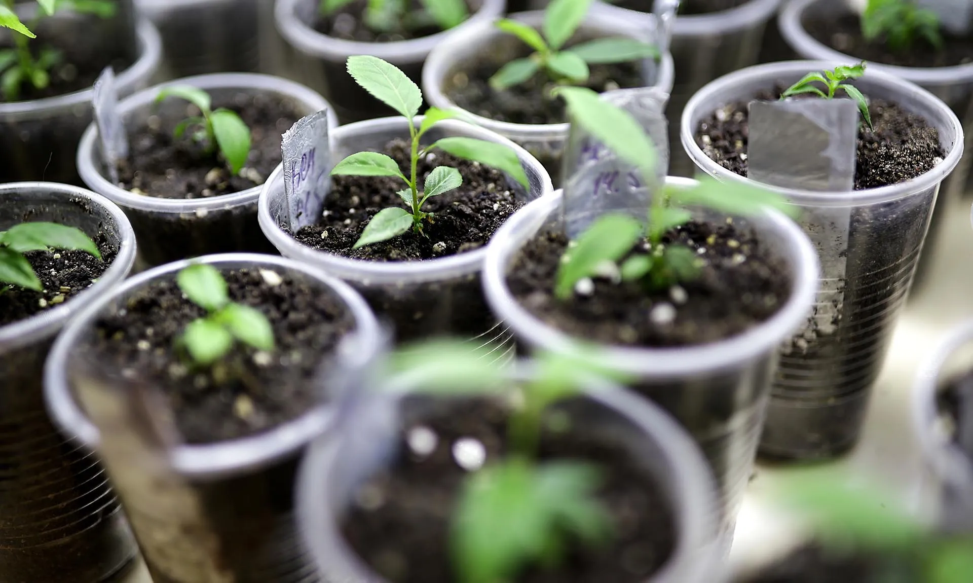 Виталий Тимкив/РИА Новости 