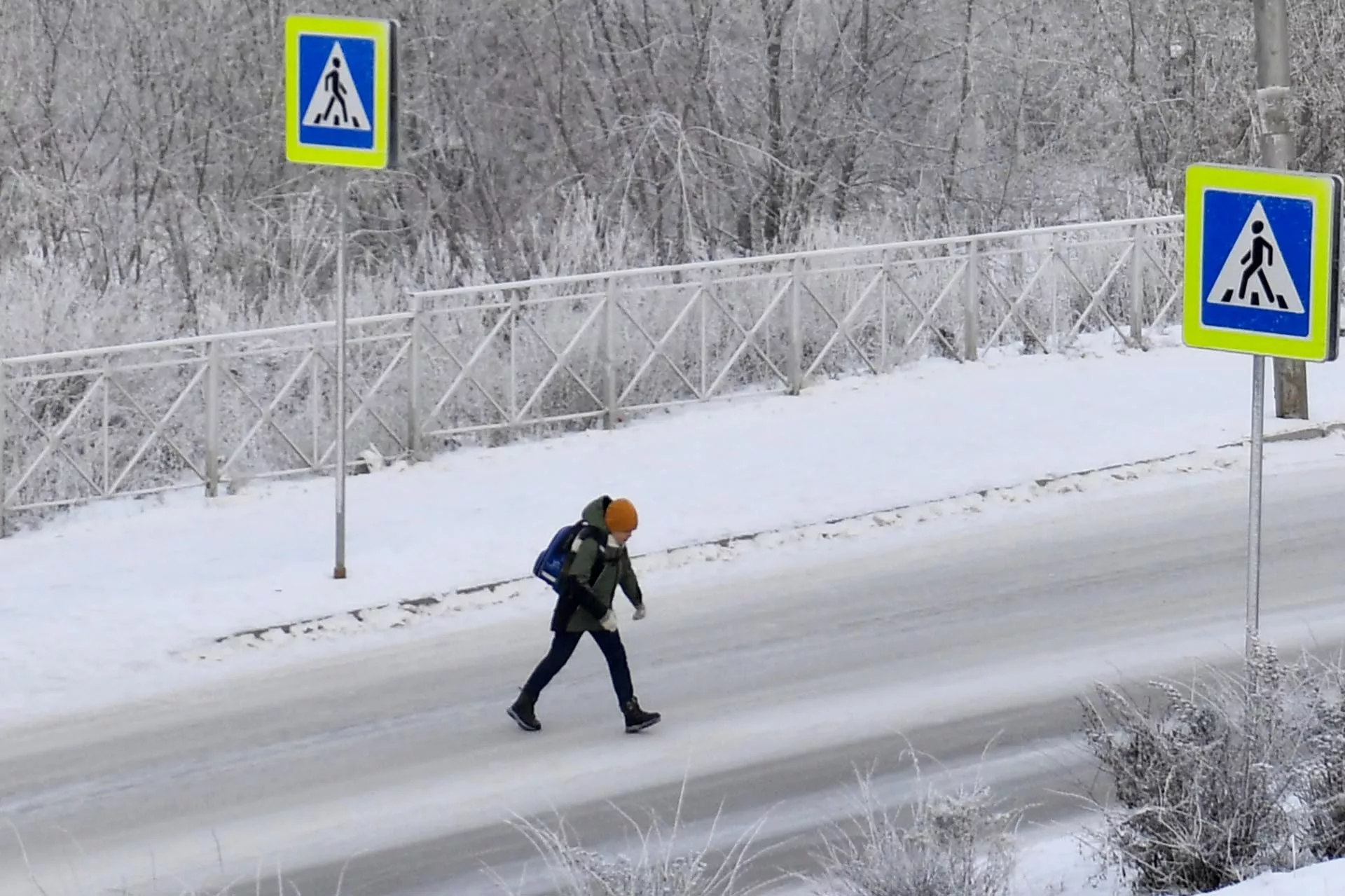 Александр Кряжев/РИА Новости
