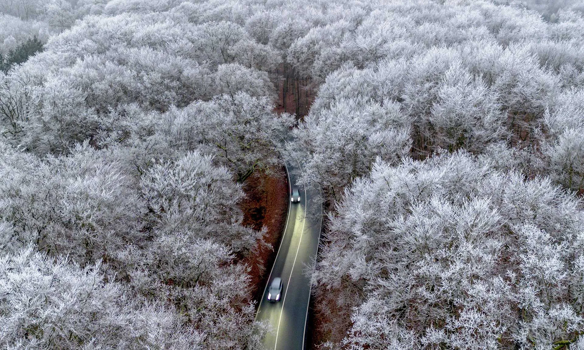 Michael Probst/AP/TASS