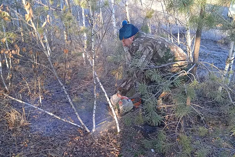 В&nbsp;лесничествах Воронежской области начали уход за&nbsp;насаждениями