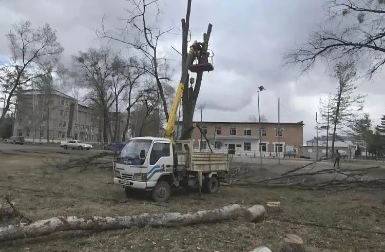 Агентство проектного управления Приморского края (РПО)