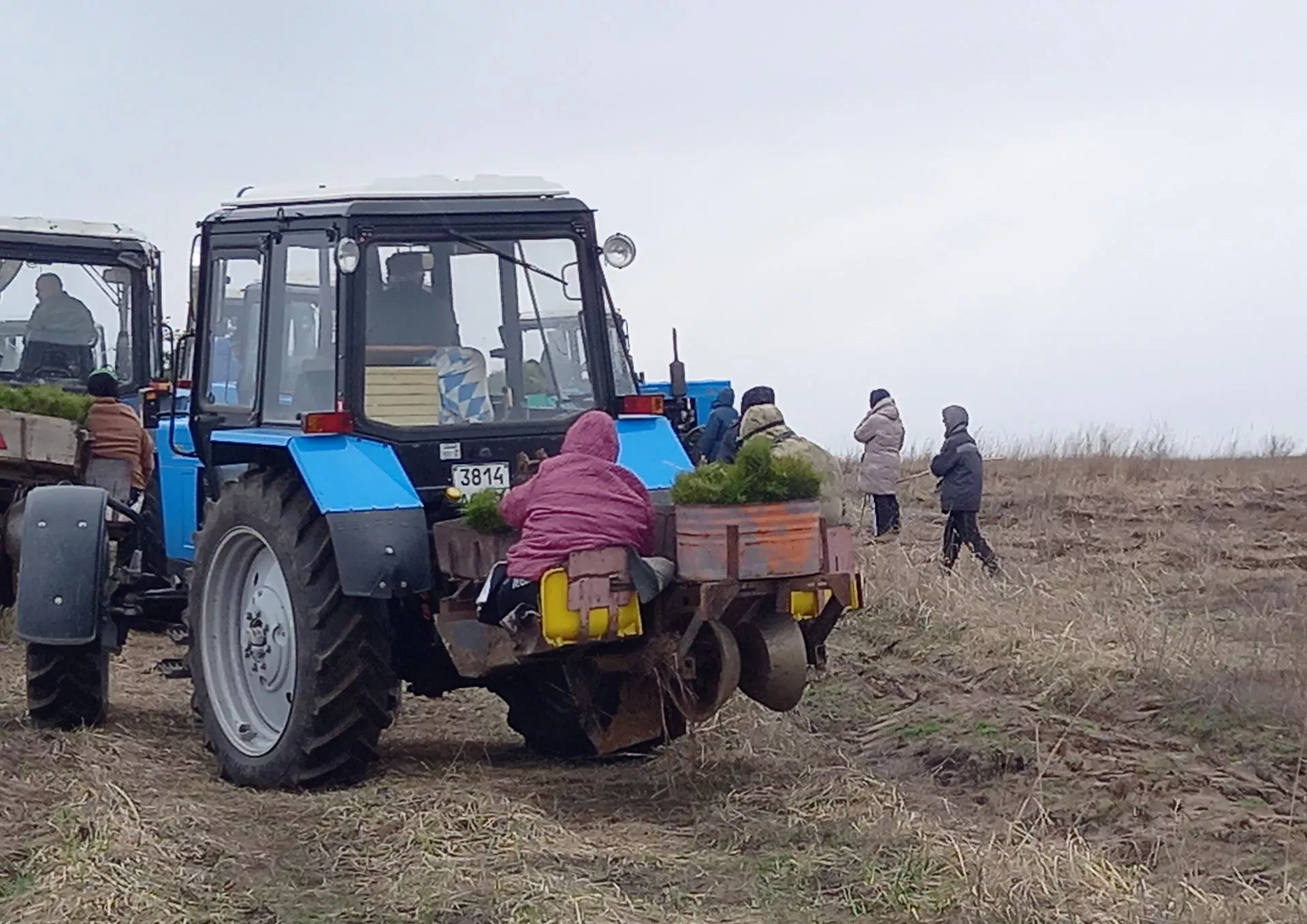 Министерство лесного хозяйства Воронежской области
