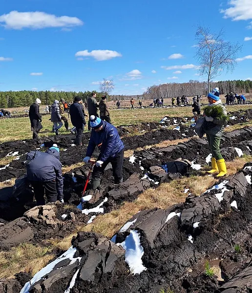 В&nbsp;Омской области прочистили минерализованные полосы вокруг геоглифа