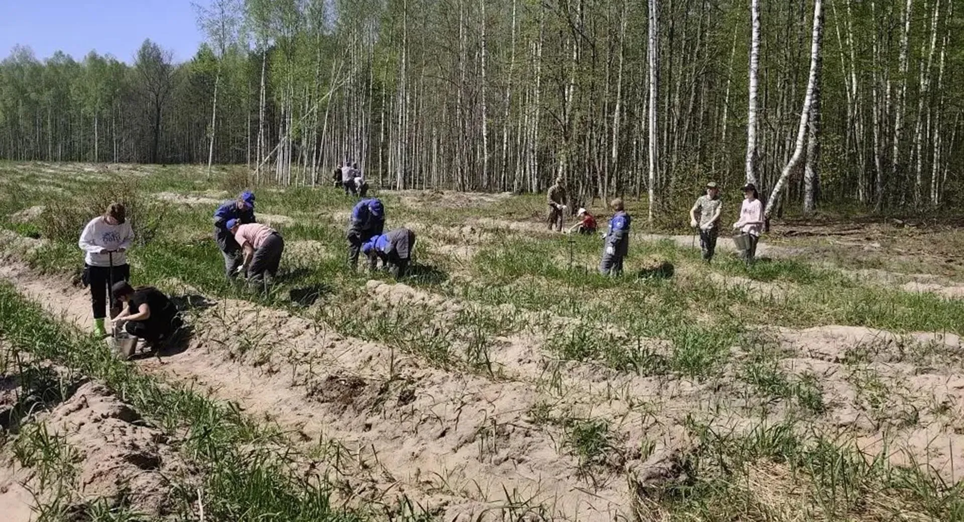 Администрация Моршанского района Тамбовской области