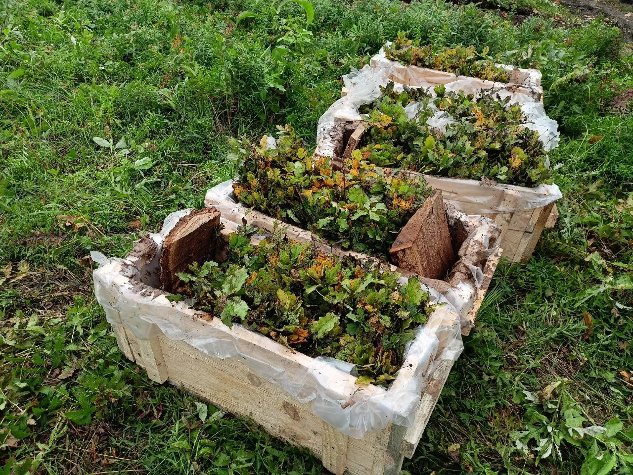 Минприроды Саратовской области
