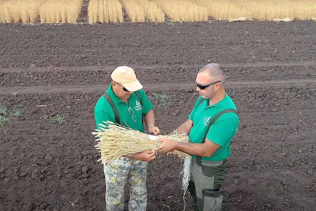 Комитет экономической политики и развития Волгоградской области