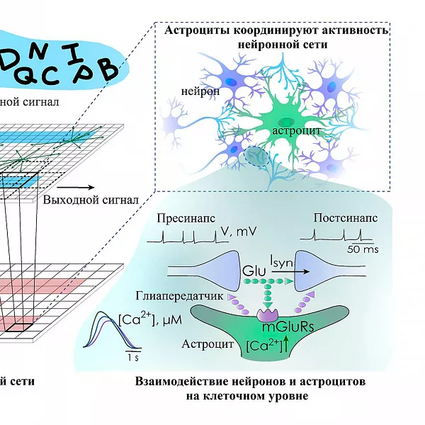 Нижегородские ученые повысили производительность нейросети на&nbsp;20%