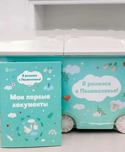 В&nbsp;Подмосковье в&nbsp;этом году вручили свыше 4&nbsp;тысяч наборов для&nbsp;новорожденных