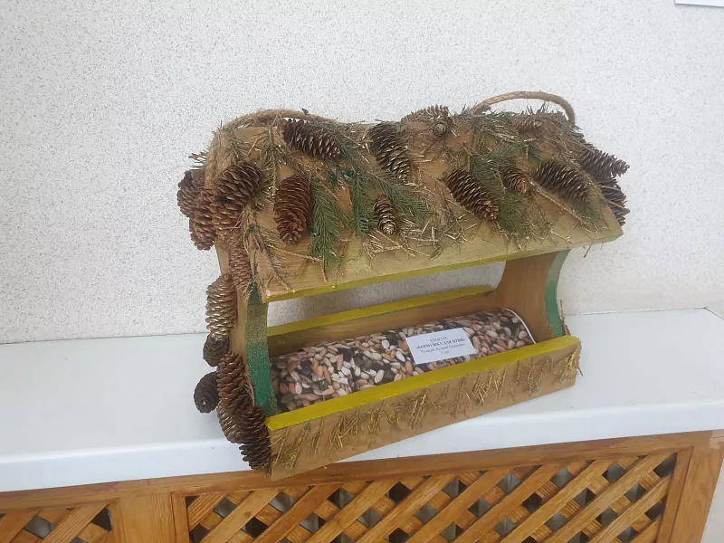 В&nbsp;Алтайском крае завершился конкурс &laquo;Кормушка для&nbsp;птиц&raquo;