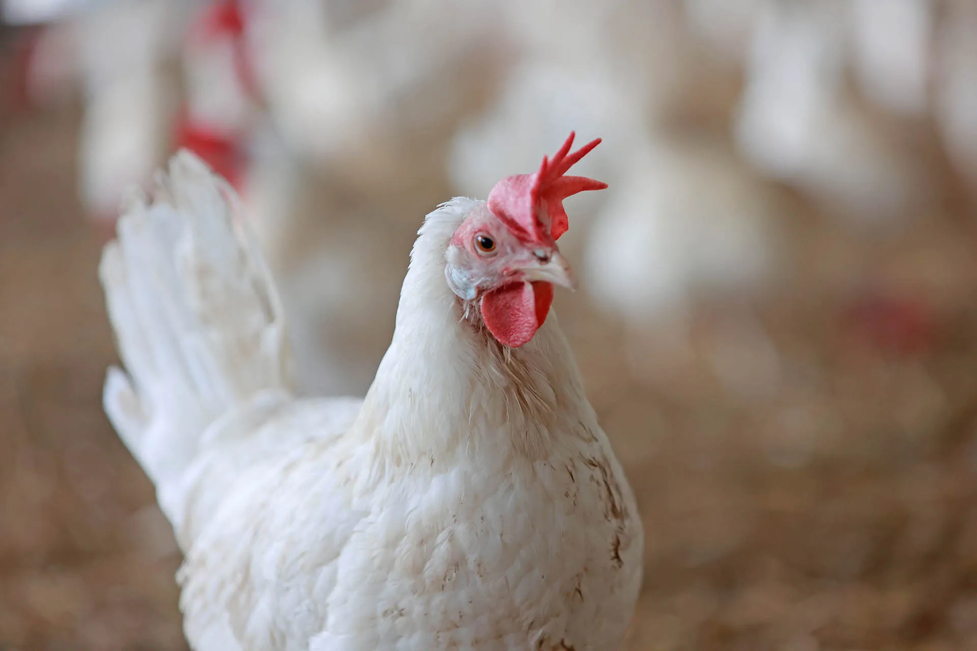 dpa/picture-alliance