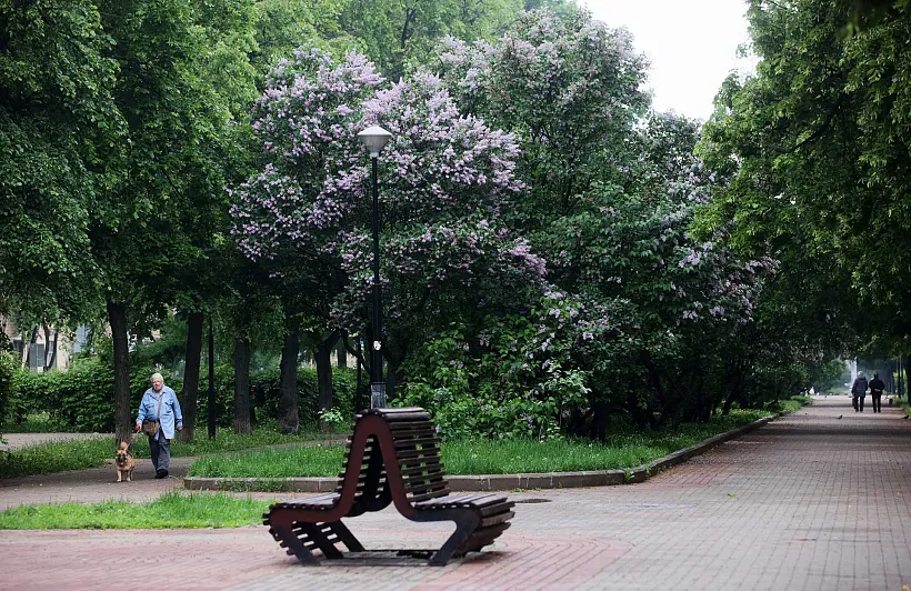 &laquo;Ласточкино гнездо&raquo; появится в&nbsp;парке самарского села Хворостянка