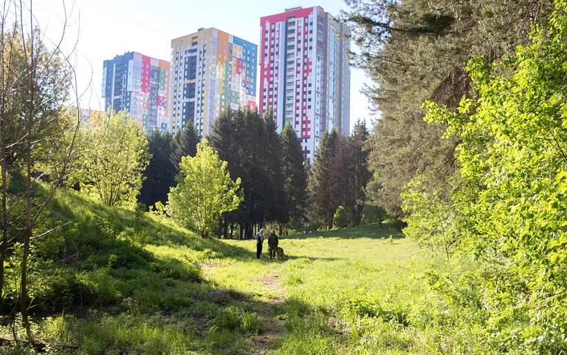 В&nbsp;Ижевске в&nbsp;этом году начнется благоустройство &laquo;Елки-парка&raquo;