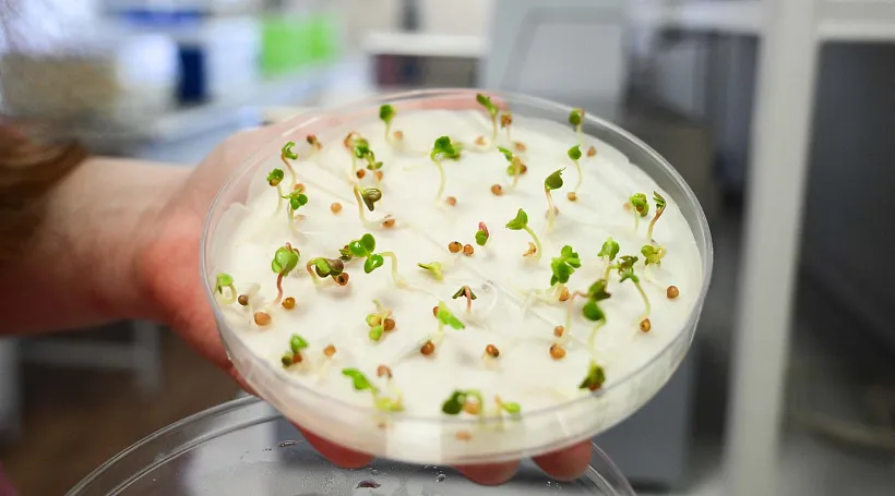 В&nbsp;Воронежском ГАУ провели практические занятия для&nbsp;учащихся агротехклассов