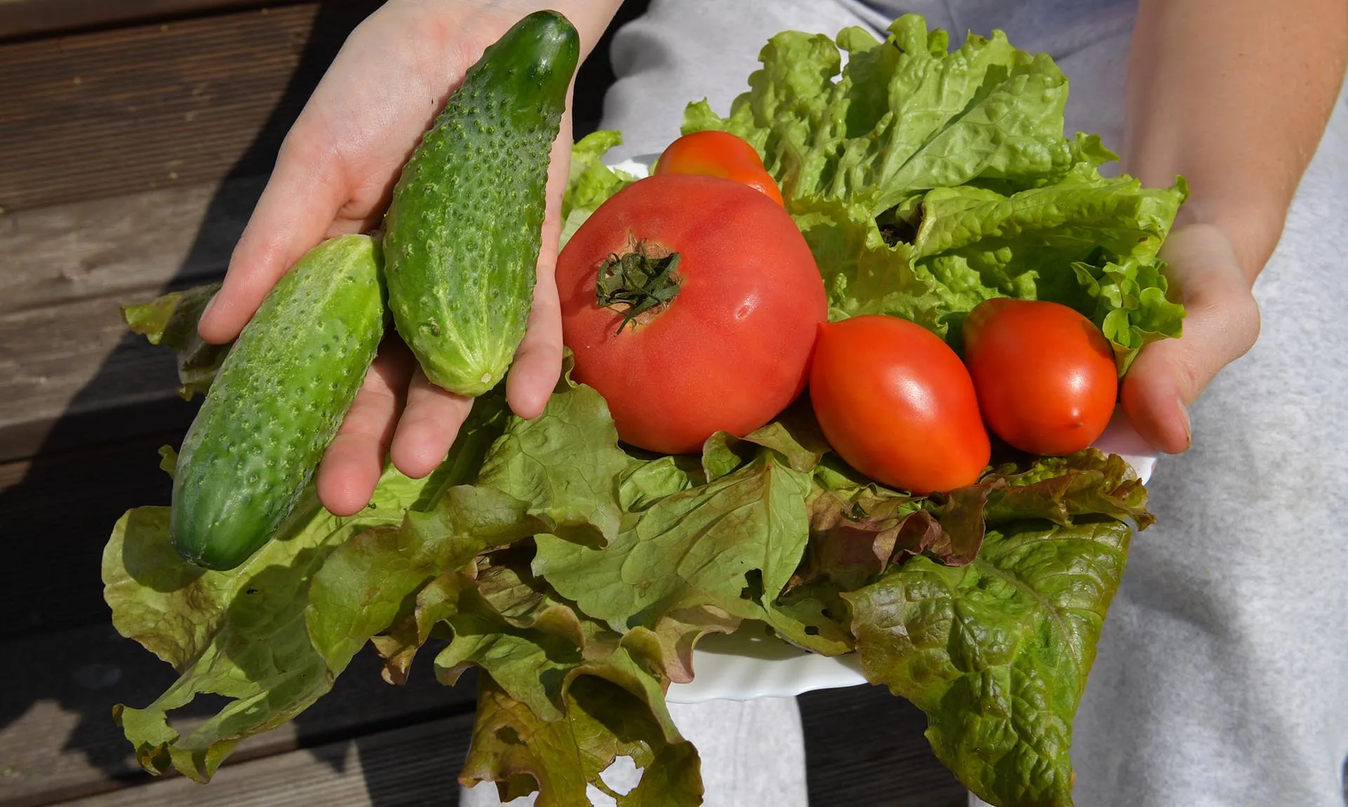 Александр Гальперин/РИА Новости 