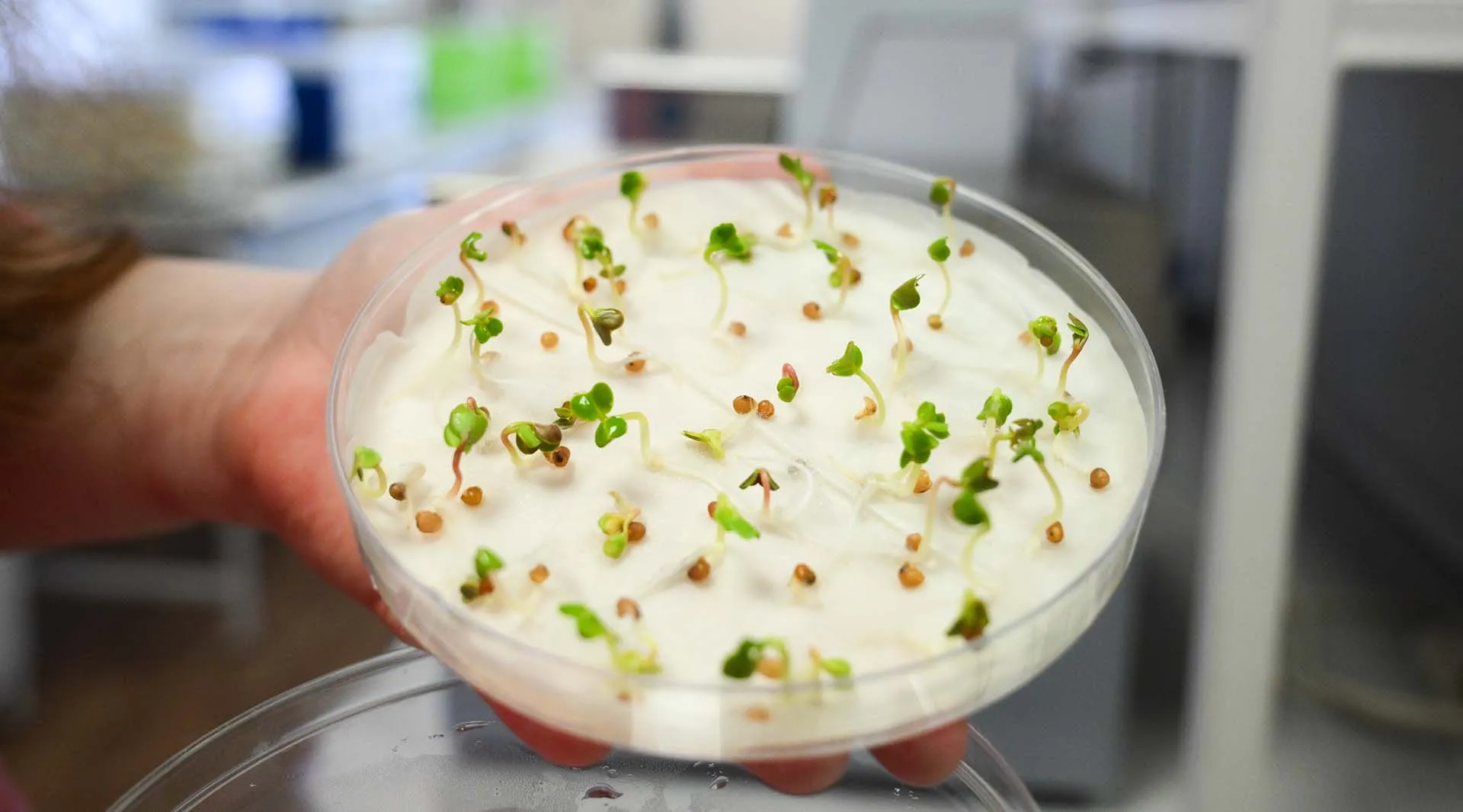 Александр Кряжев/РИА Новости