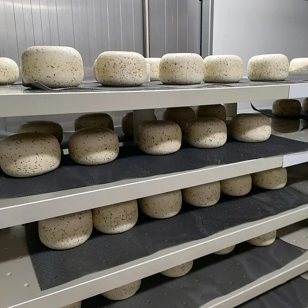 Молочный завод из&nbsp;Новосибирской области на&nbsp;40% ускорил фасовку сыров