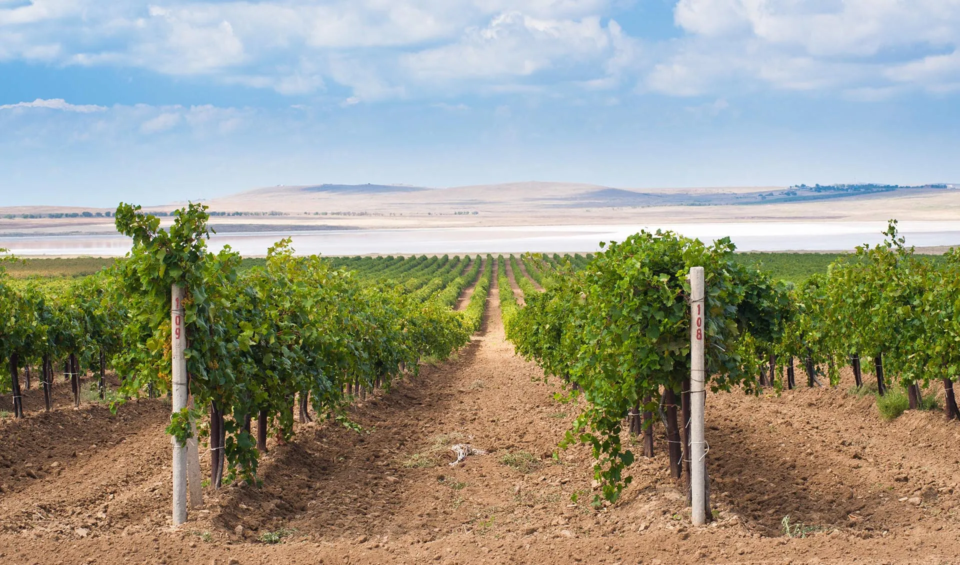 Министерство курортов, туризма и олимпийского наследия Краснодарского края