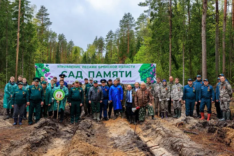 Более двух тысяч новых деревьев высадили в&nbsp;Брянской области