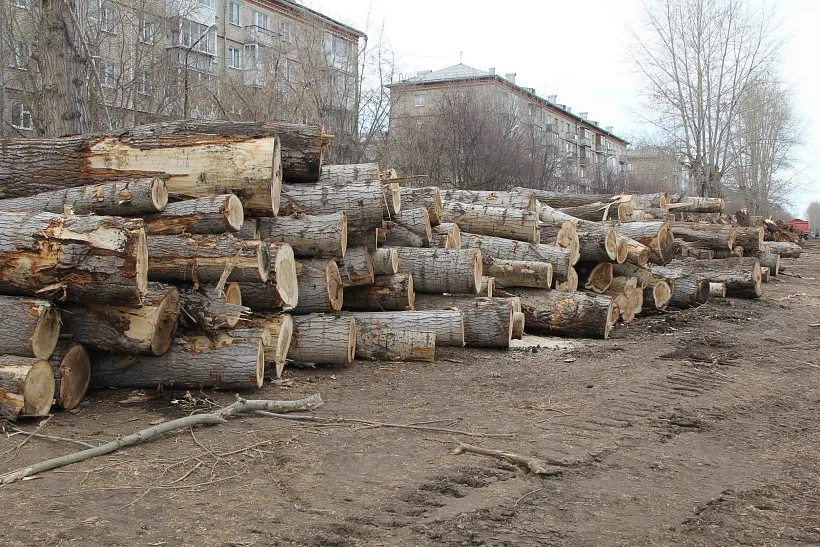 В&nbsp;городе Каменске-Уральском Свердловской области обновят улицу Набережную
