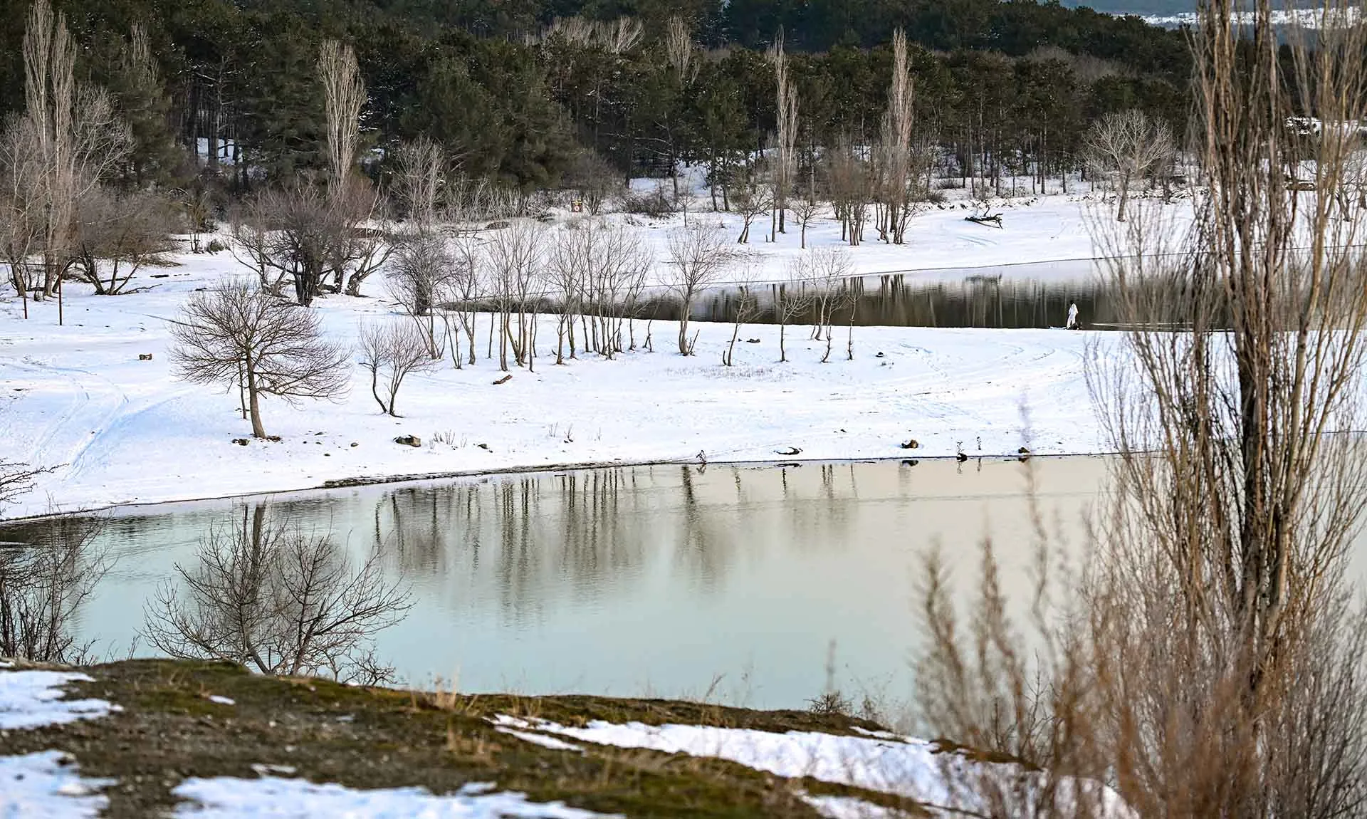 Константин Михальчевский/РИА Новости
