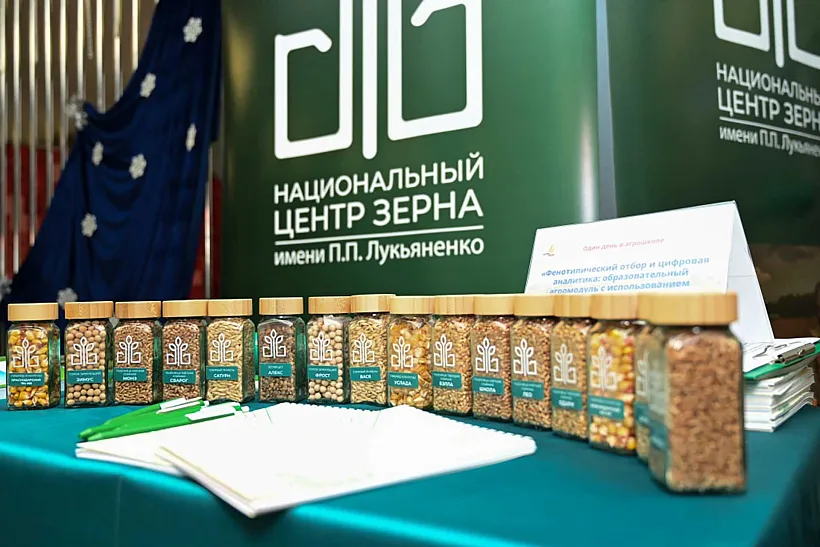 В&nbsp;Краснодаре ученые-селекционеры провели занятие для&nbsp;школьников